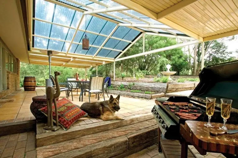 How Building a Pet-Friendly Patio Enhances Health and Fitness for Both You and Your Pets