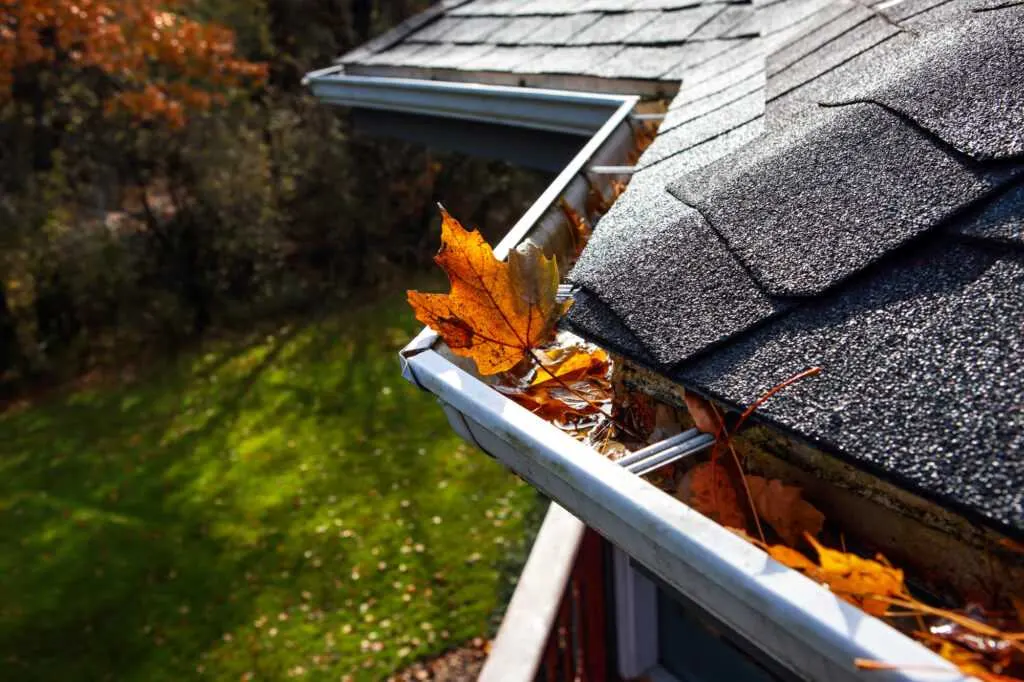 How Roof Maintenance Saves Money