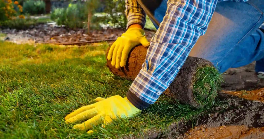 Importance of Lawn Care for Businesses