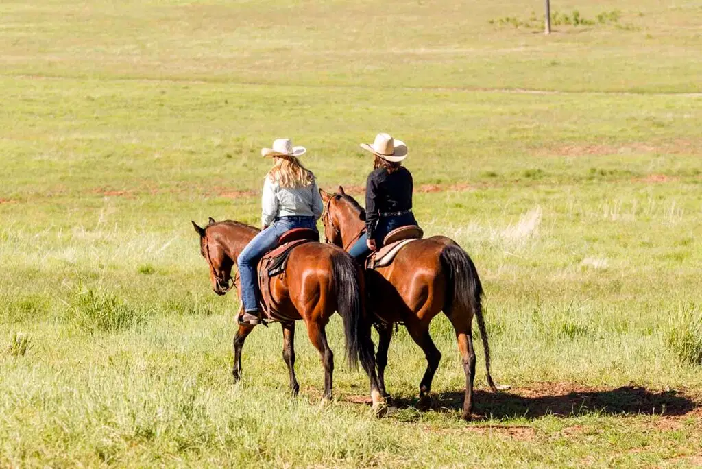 Guide to the Minimum Age for Trail Riding