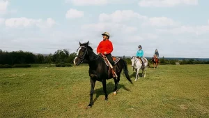 minimum Age for Trail Riding